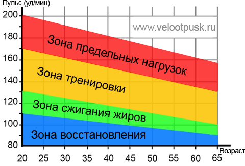 Таблица зон пульса в зависимости от возраста